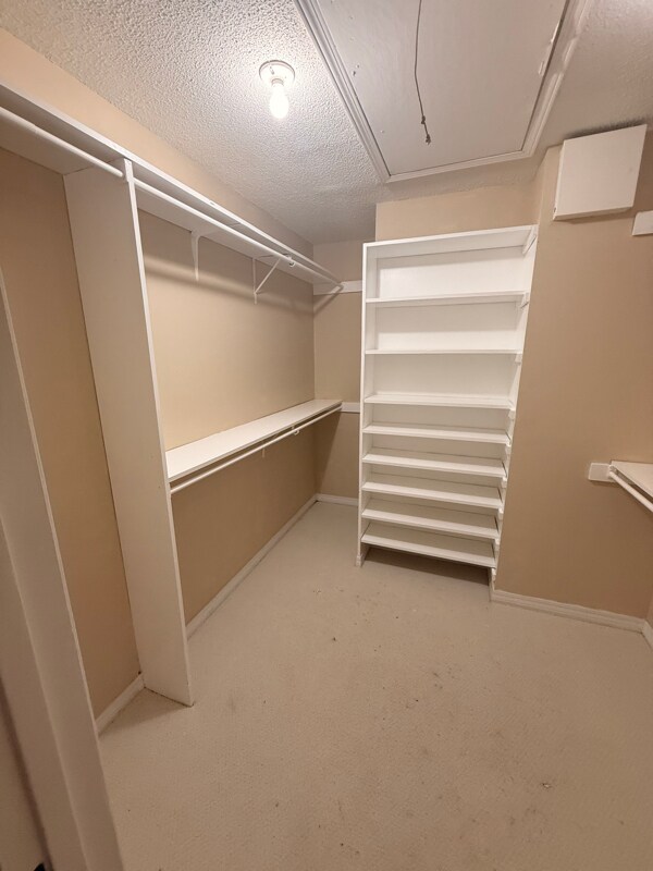 Building Photo - 2004 Pine Needle Dr E