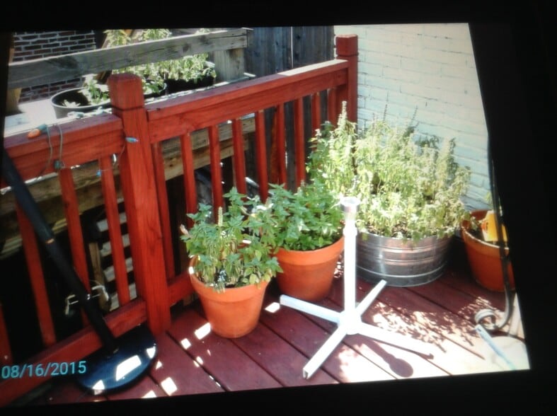 patio - 1016 S Charles St