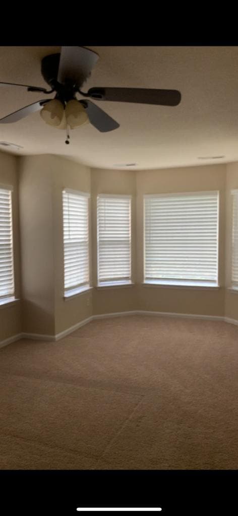 Primary BR New 2 - 2436 Apiary Ct
