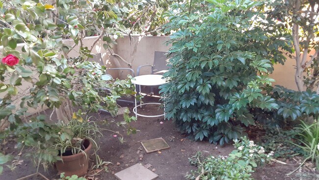 Walled Patio - 1633 Greenfield Ave