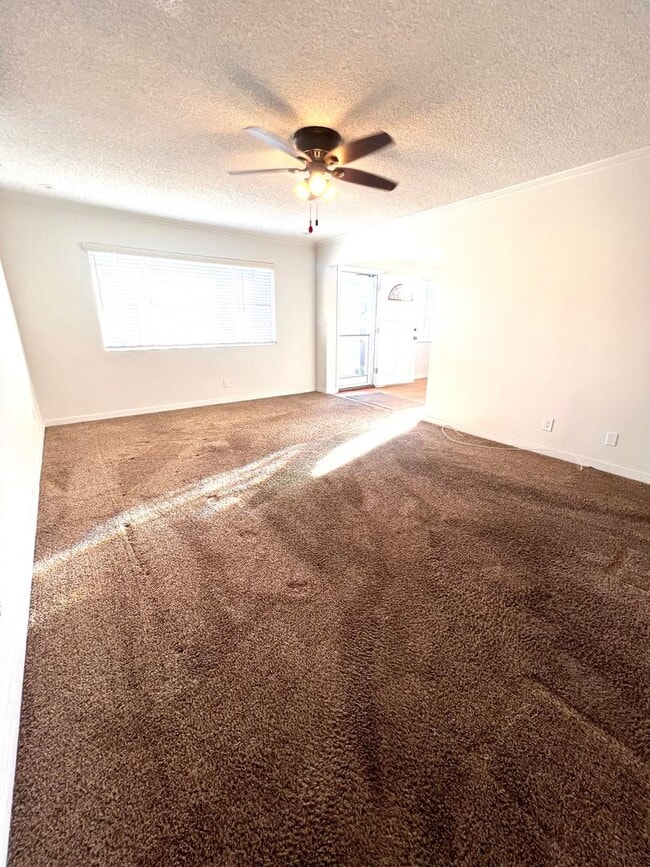 Building Photo - Private Back House with single garage & yard