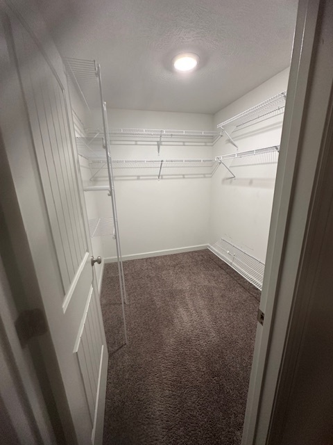 walk-in-closet - 3051 Stanhope Dr