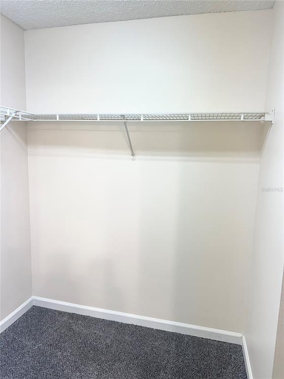 Building Photo - 709 Secret Harbor Ln