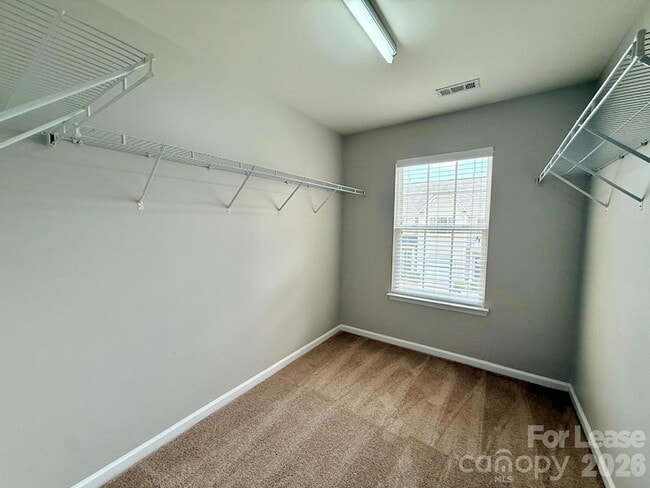 Building Photo - 11848 Lion Cub Ln