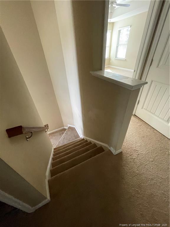 Building Photo - 261 River Oak St