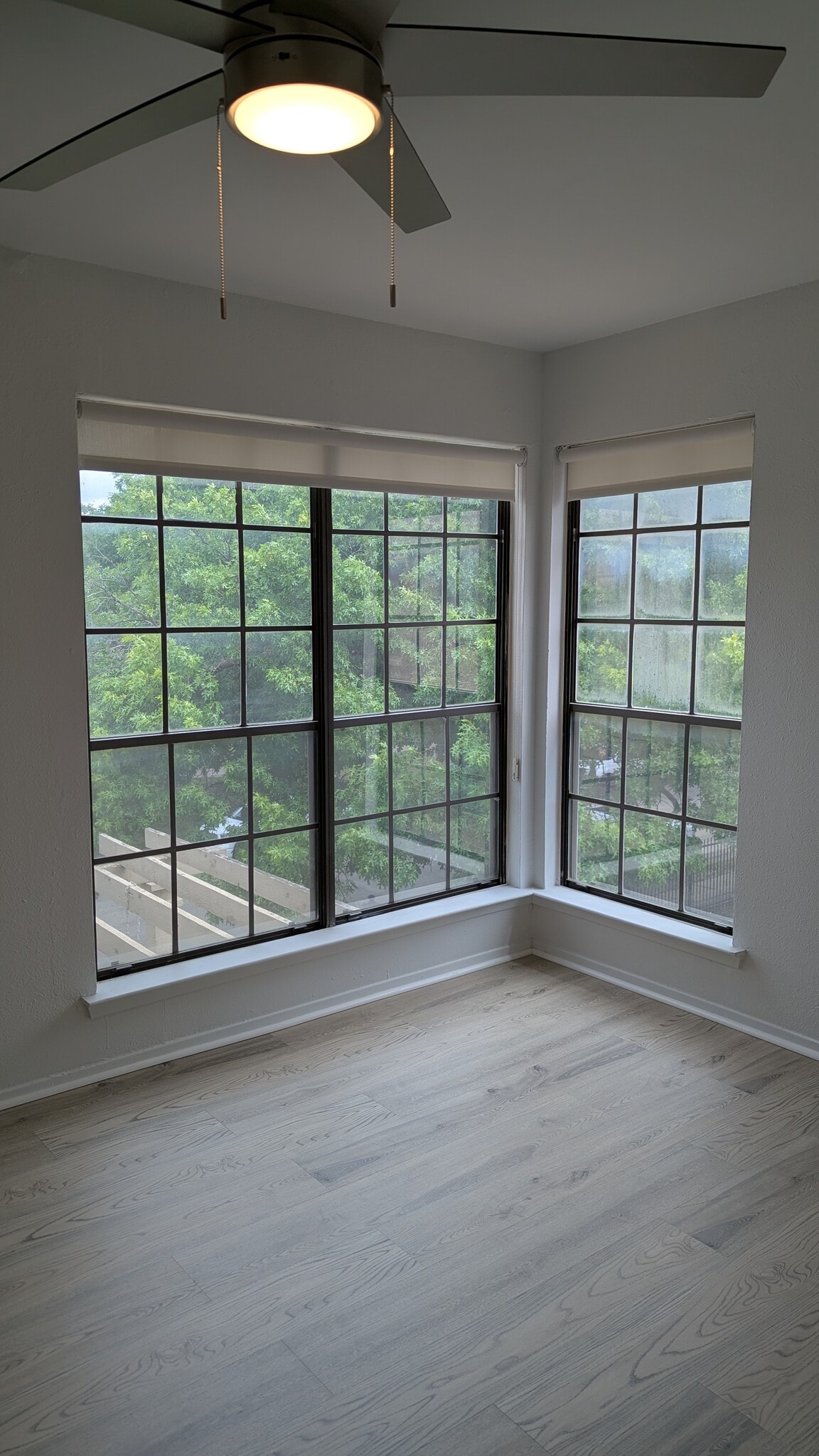 Natural Light in Primary Bedroom - 5200 Martel Ave