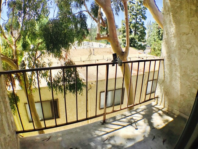 Building Photo - Luxury Penthouse Newly Renovated 1 Bed + Den Condo