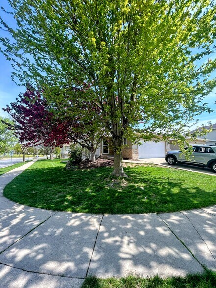 Street Corner View - 1051 Tamarack Way