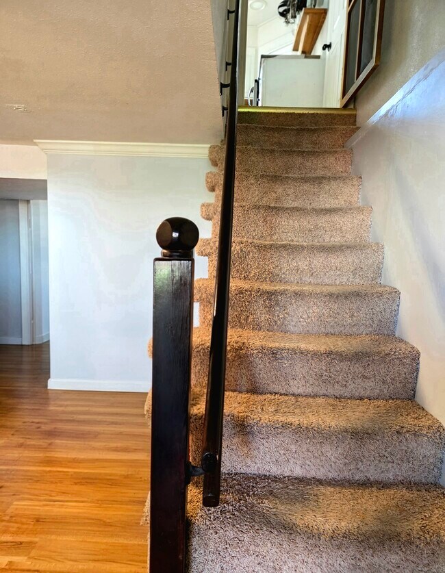 Stairs to Kitchen - 1409 2nd West Hill Dr