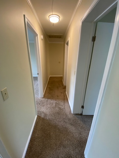 Building Photo - 1017 Baccharis Dr