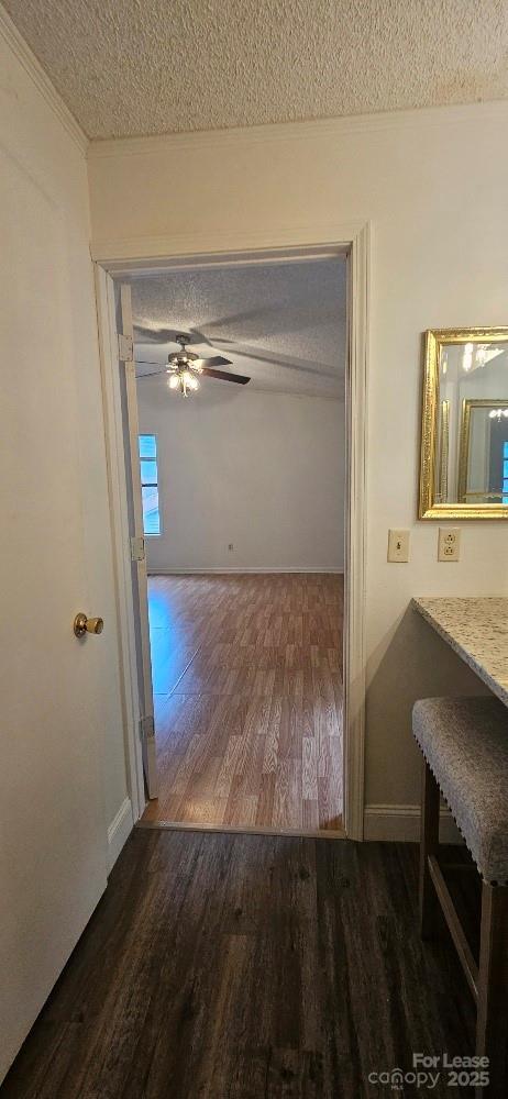 Building Photo - 8106 Tamalpais Ct