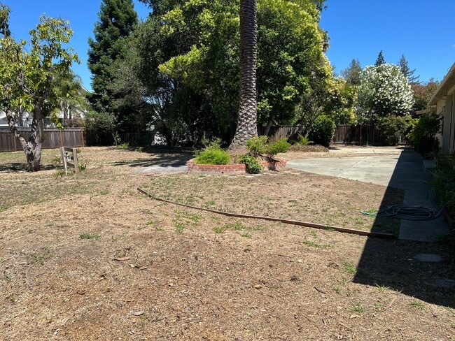 Building Photo - Los Gatos Living Just Minutes from Downtown & New Whole Foods