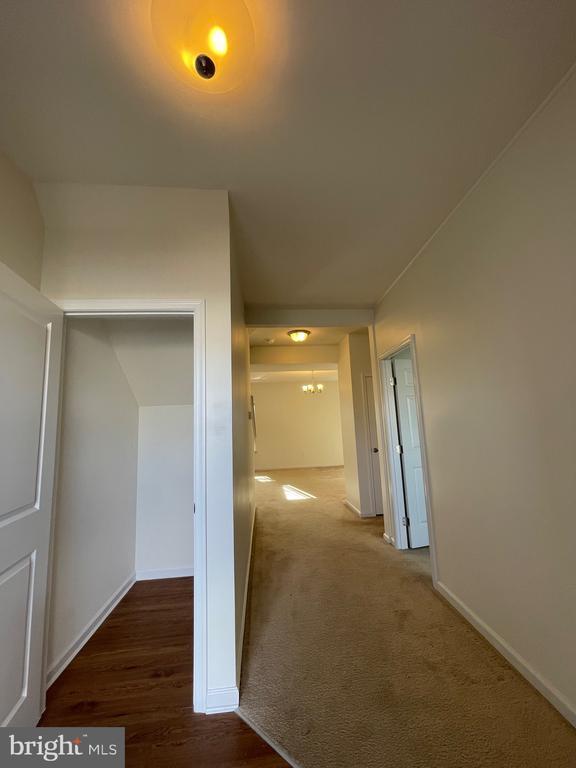 Building Photo - 103 Alexandreas Ct