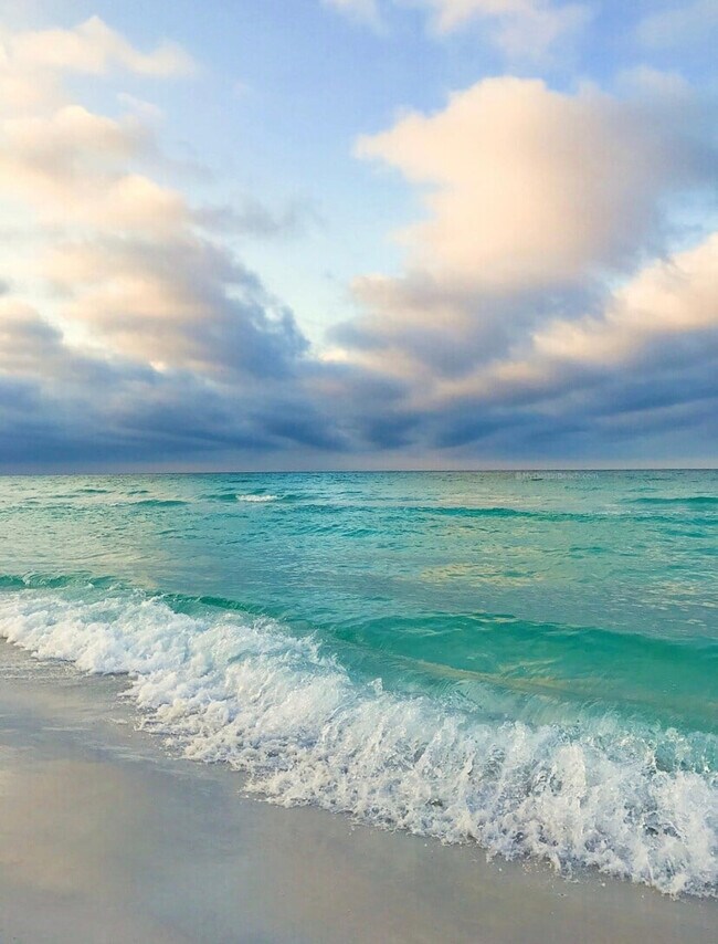 Building Photo - 125 Blue Eden Lp