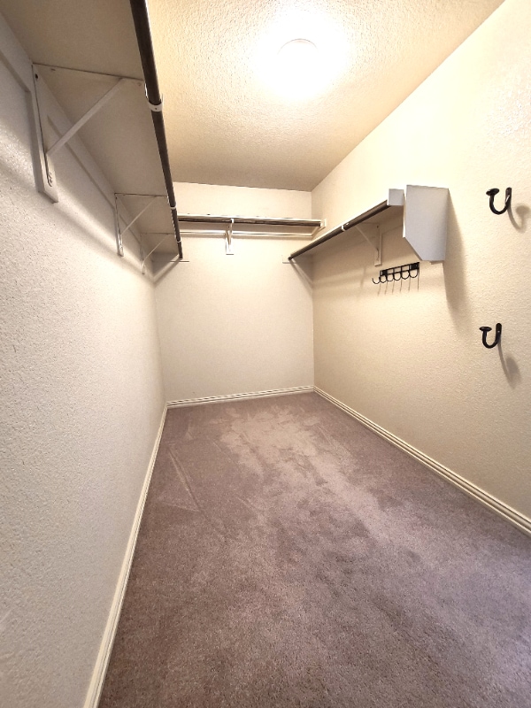 Building Photo - 3080 Peyton Brook Dr