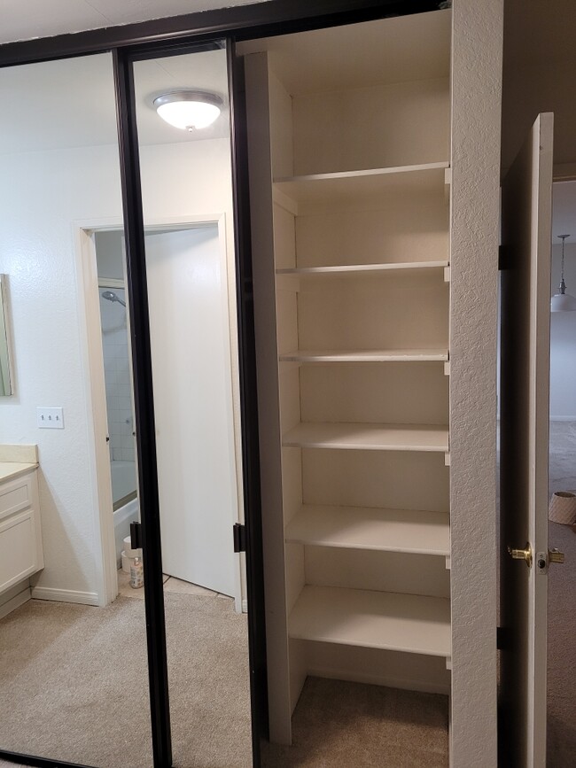 Closets Shelf - paint - 2 yrs 4 mths old - 13006 Wimberly Sq