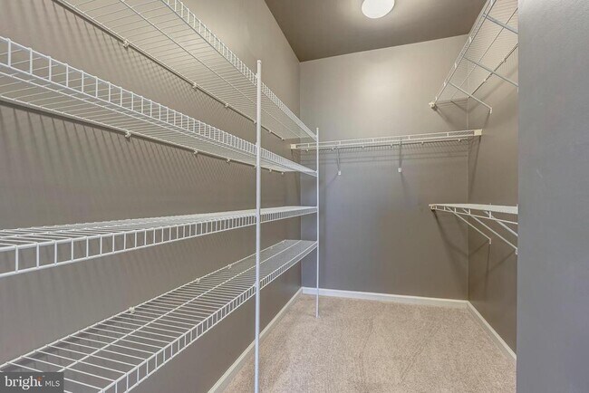 Building Photo - 43022 Spyder Pl