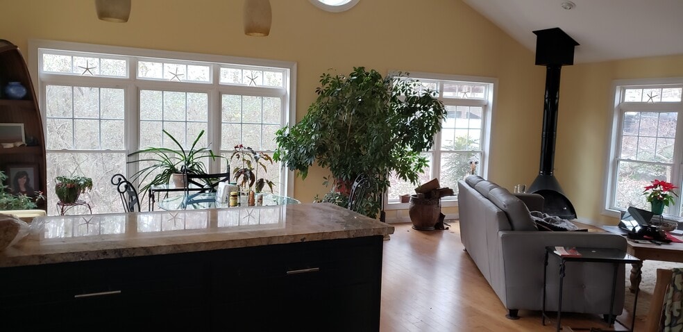 Living room with fireplace - 4735 Pilgrim Mill Rd