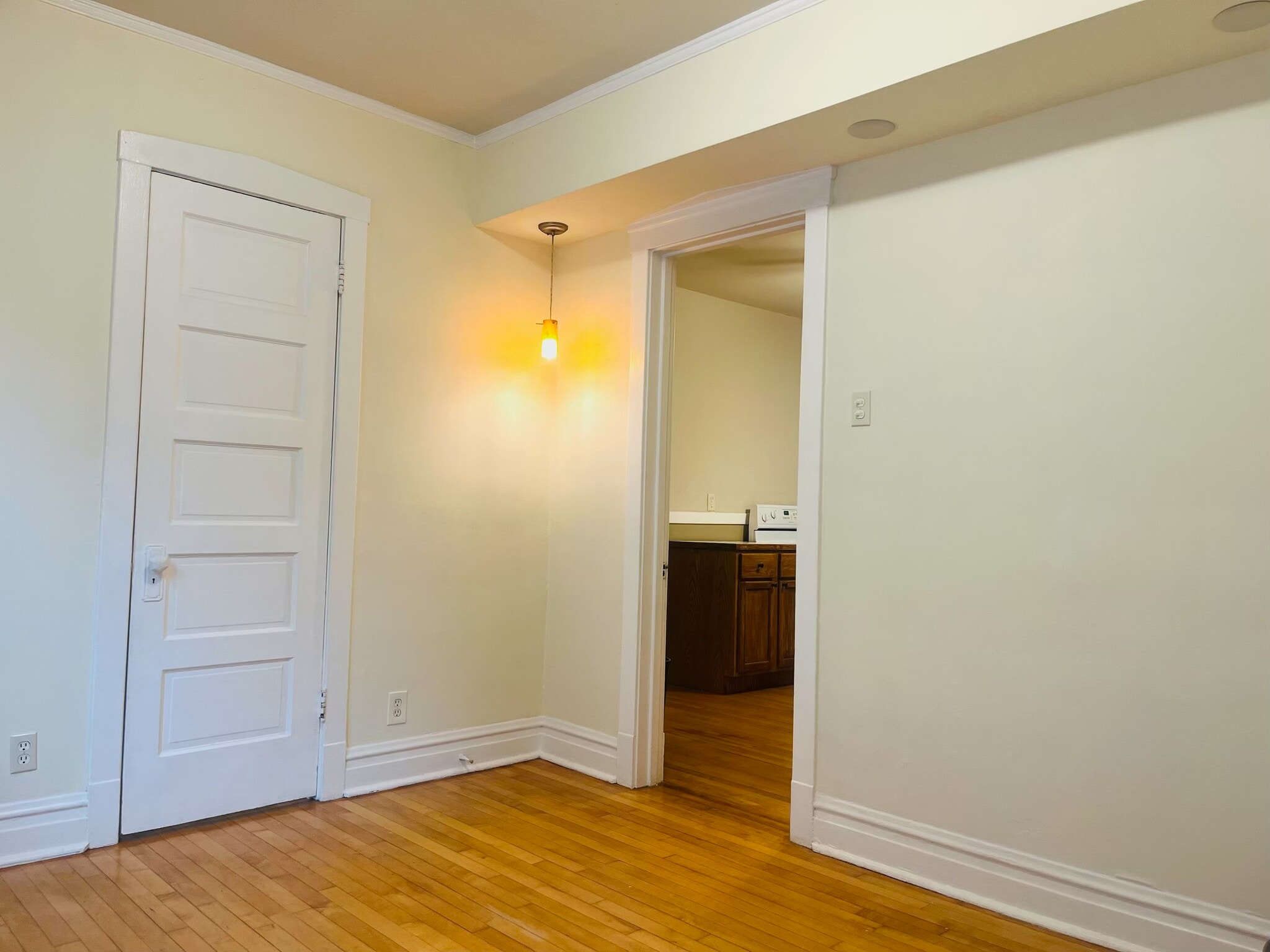 Bedroom 1 - view 1 - 531 S Lombard Ave