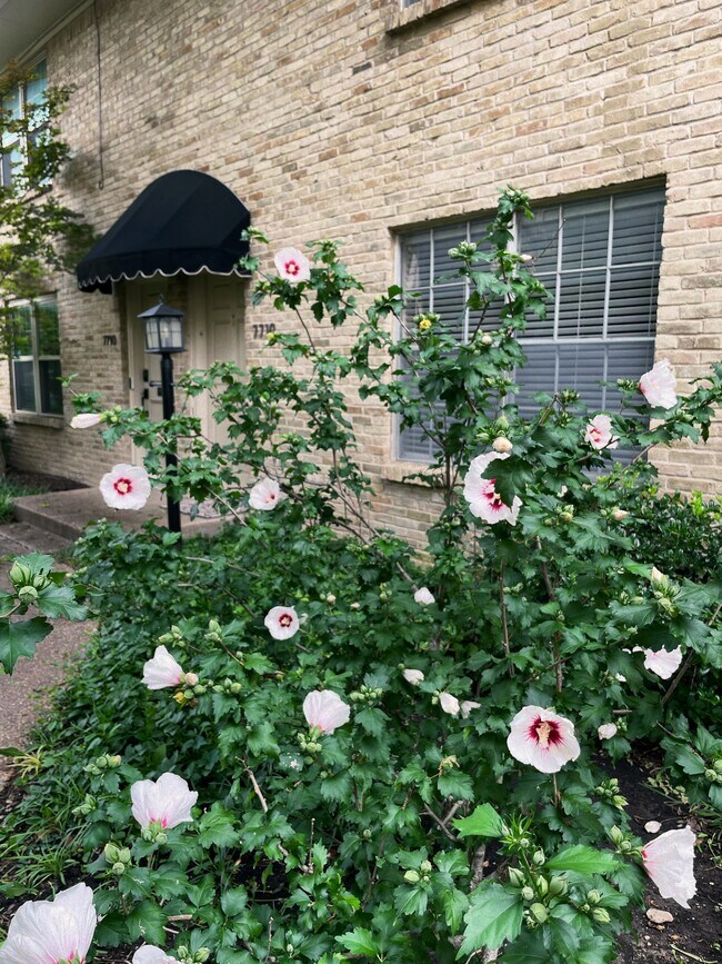 Building Photo - 7718 Royal Ln