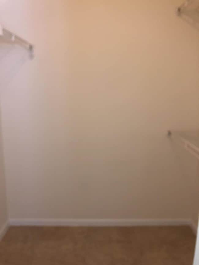 Building Photo - 803 Sandtree Dr