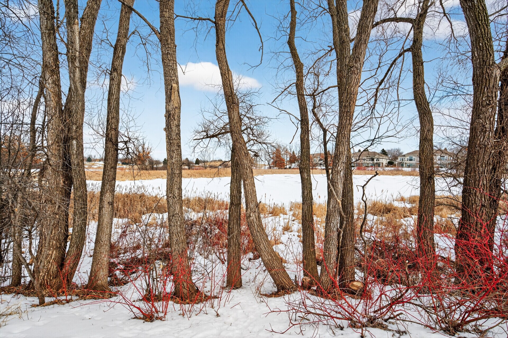 Building Photo - 475 Hickory Ln N