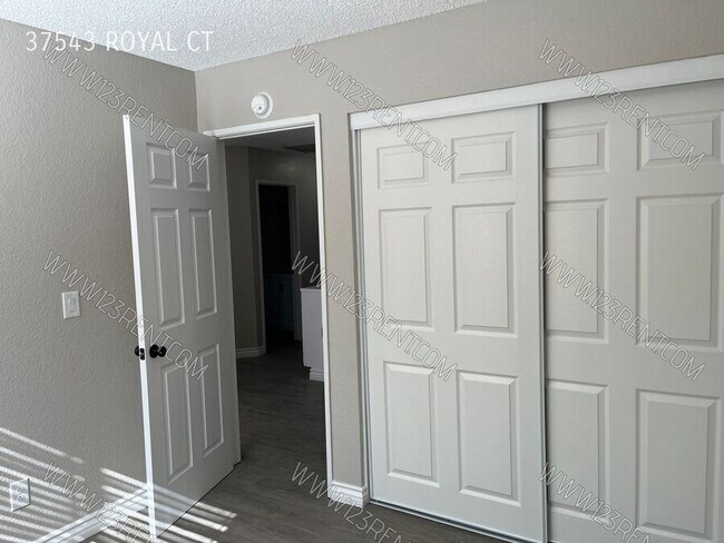 Building Photo - 37543 Royal Ct