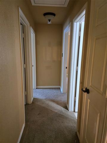 Building Photo - 12113 Shadybrook Dr