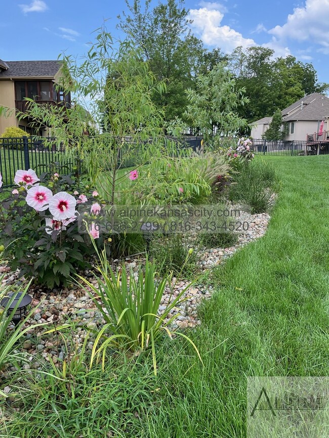 Building Photo - Stunning Home in Carriage Hills