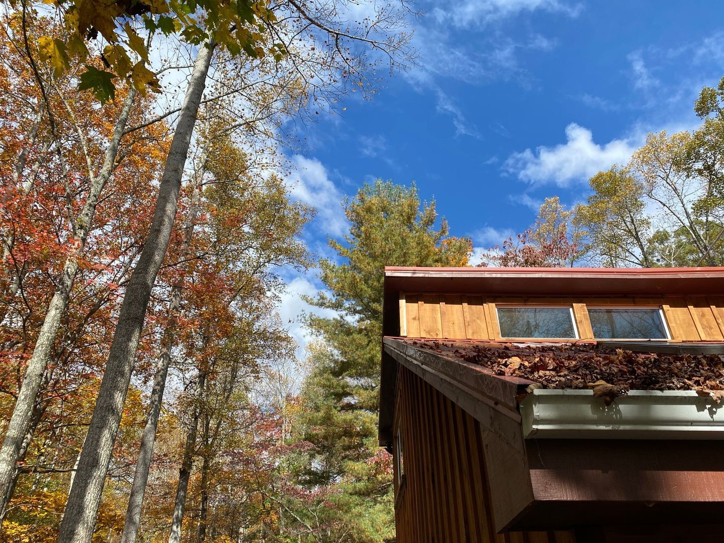 Building Photo - 143 Red Huckleberry Ln