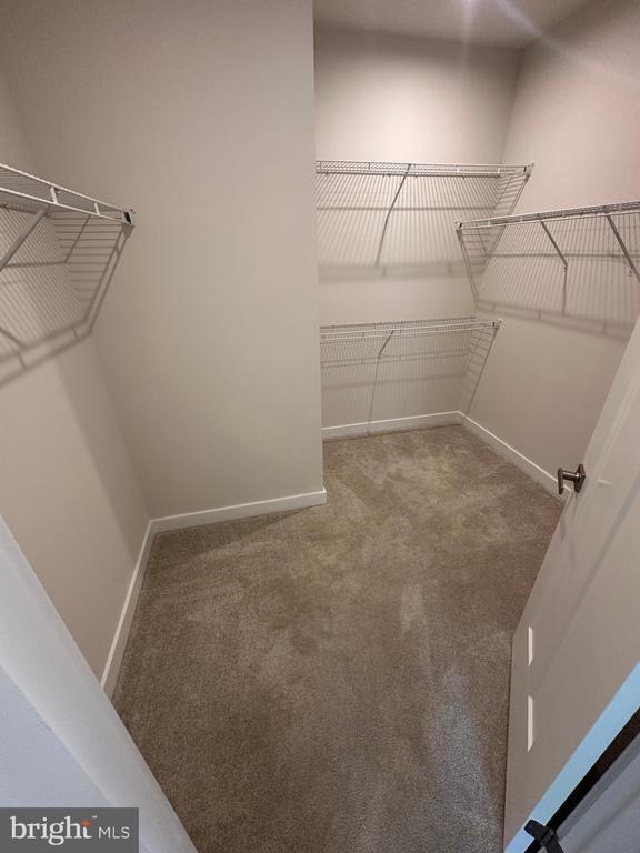 Building Photo - 5615 Billenca Ln