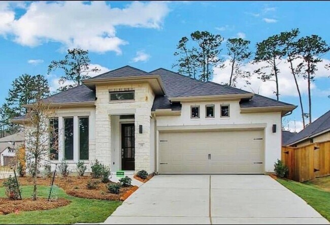 Building Photo - 210 W Netleaf Ct