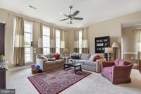 Building Photo - 709 Stag Ct