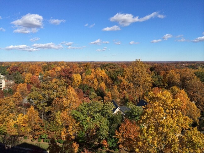 East view from all rooms - 11776 Stratford House Pl