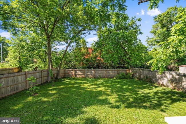 Backyard View from House - 4502 Tuckerman St