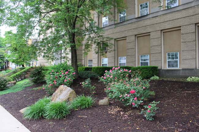 Primary Photo - Ridgeview Apartments