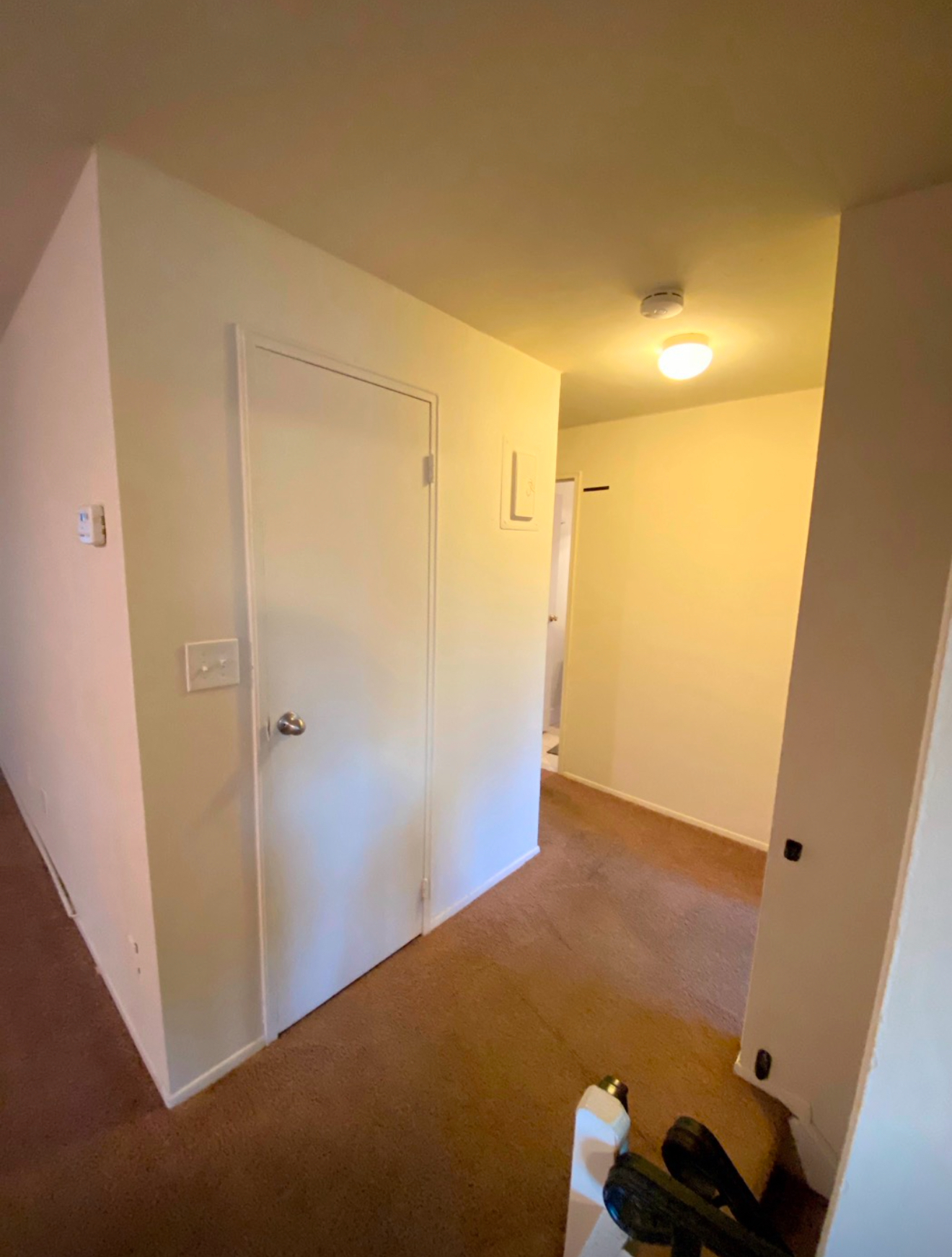 Hallway and large closet - 87 Newbrook Ln