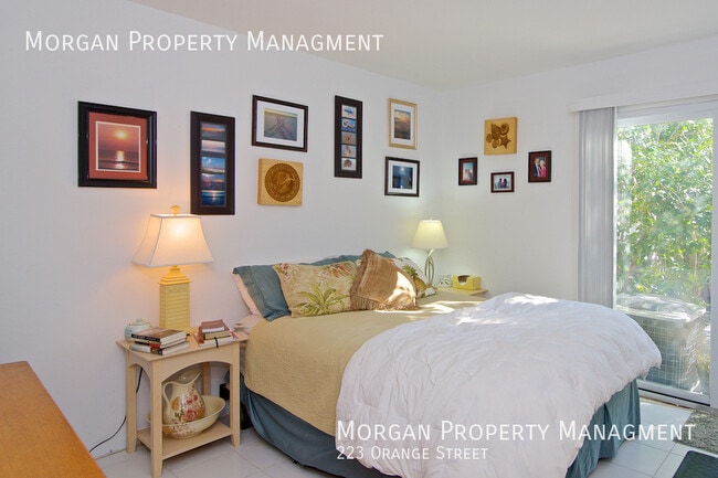 Building Photo - 223 Orange St