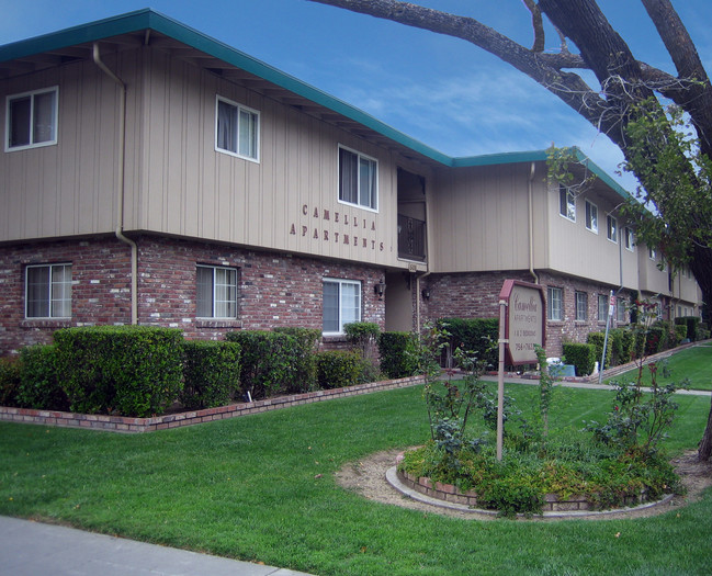 Primary Photo - Camellia Apartments