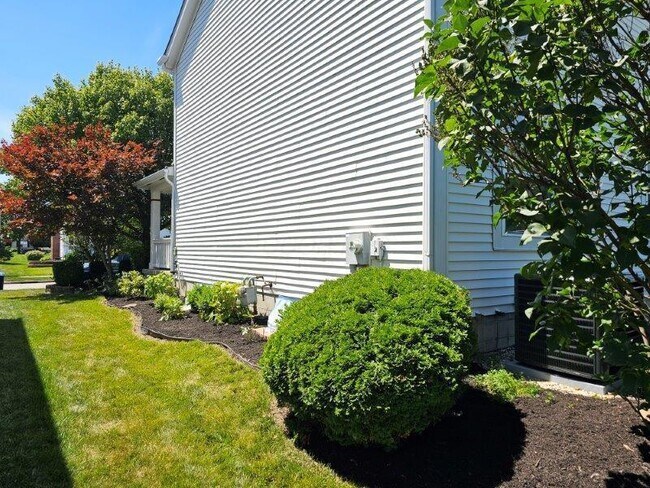 Building Photo - 4540 Redwood Vine Dr