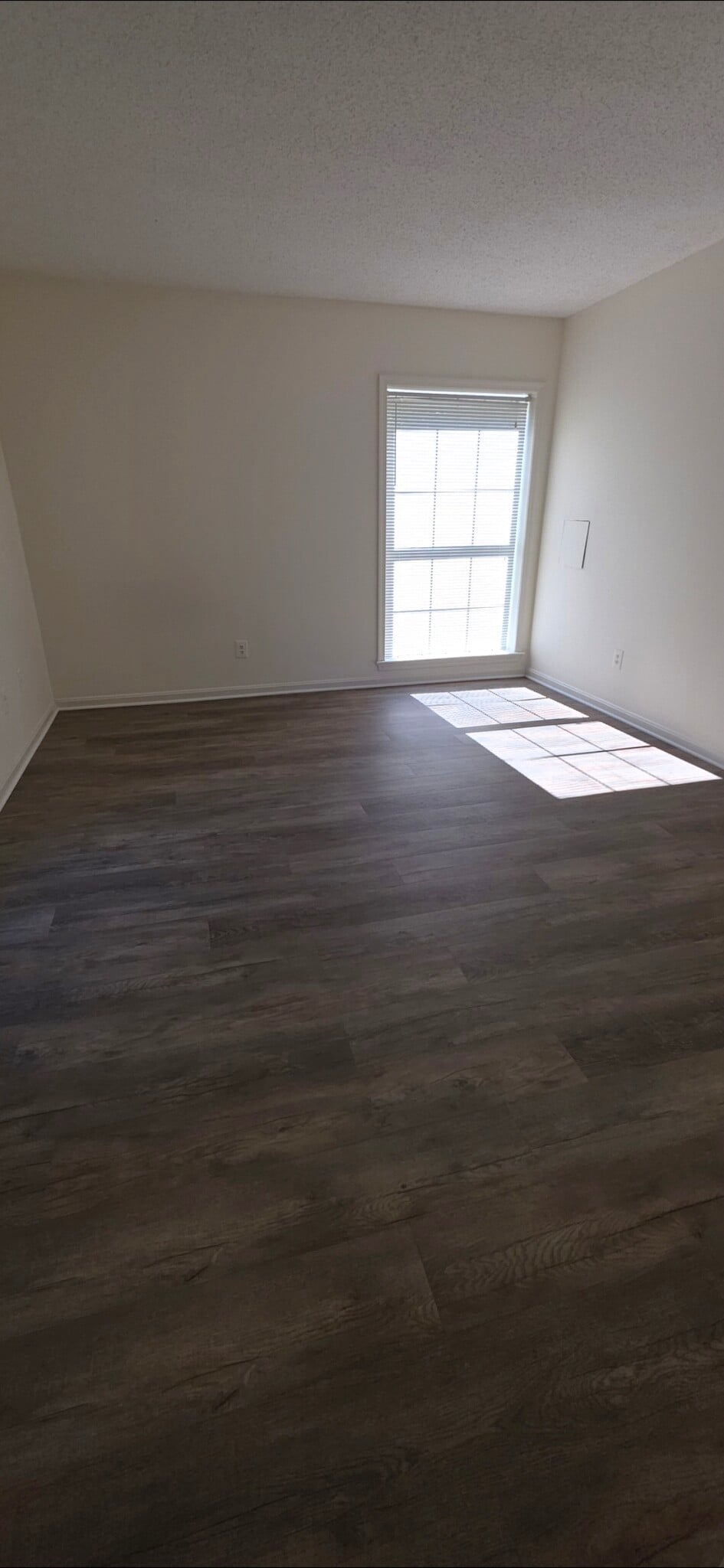 Master Bedroom1 - 3115 Patrick Henry Dr