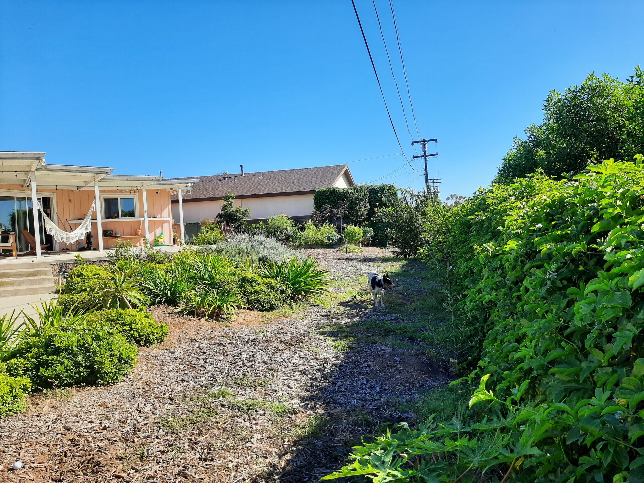 Building Photo - 968 Corte Maria Ave