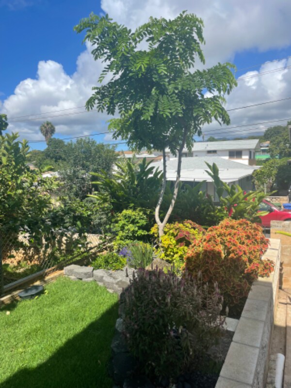 Building Photo - 94-361-361 Kahuanani St