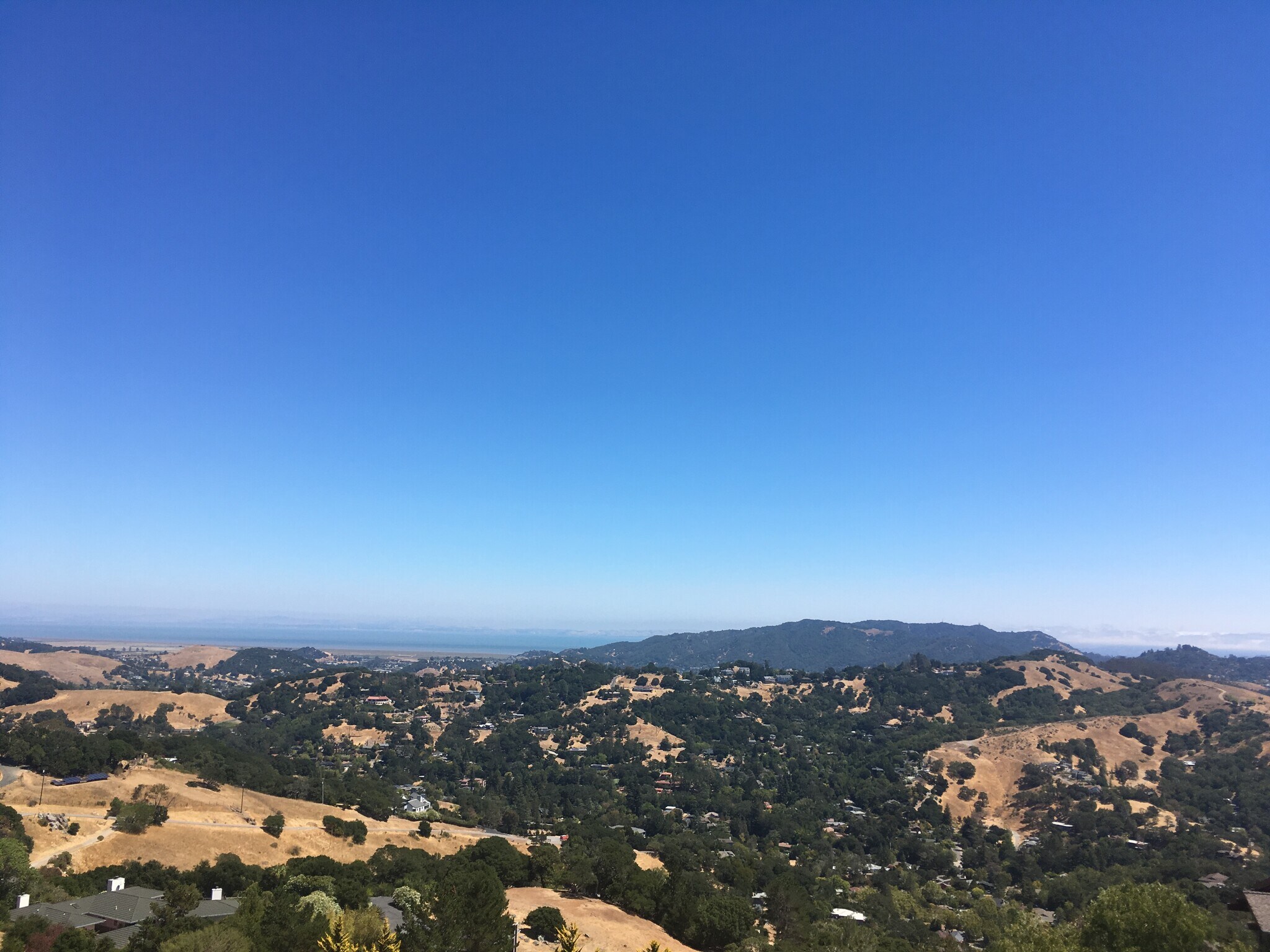 Birds Eye view from home - 101 Oak Springs Dr