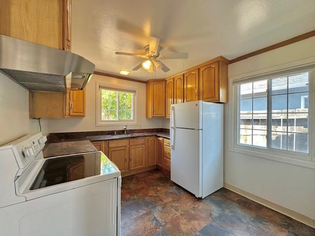Building Photo - 3920 Branson Dr