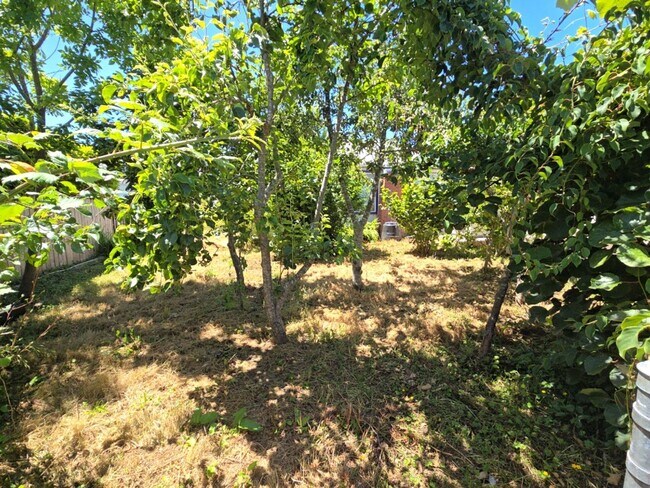 Building Photo - 4BD/2BA Eureka home close to schools, medical services