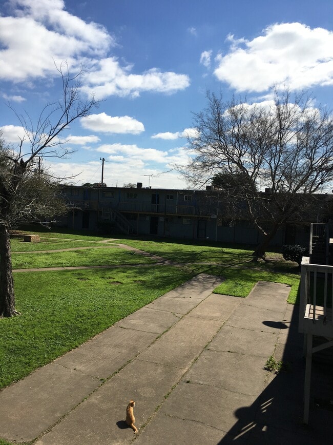 Building Photo - 7939 Sarita St