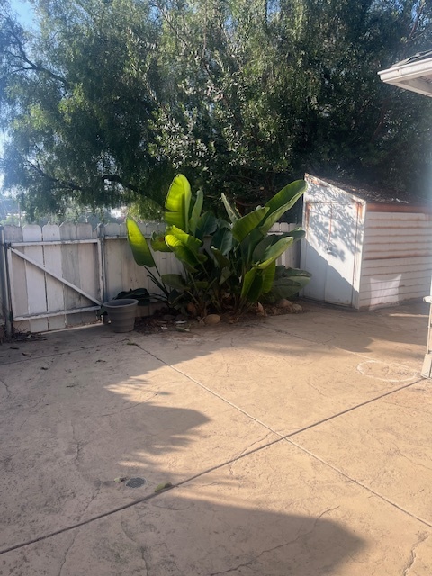 backyard and storage shed - 625 W Maple St