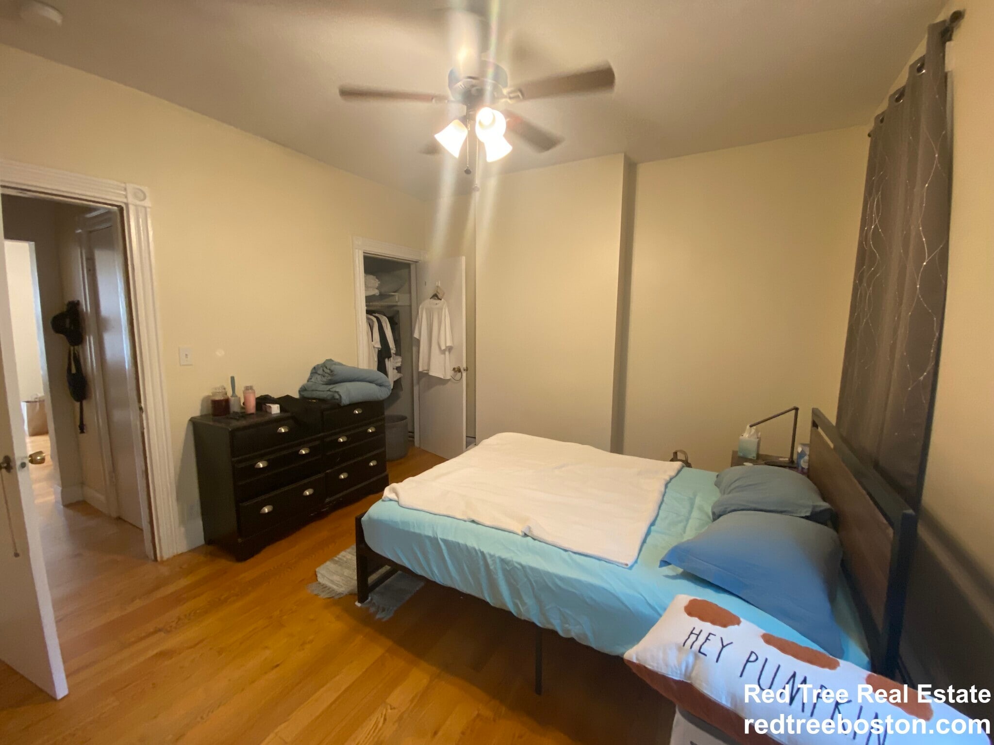 Building Photo - 49 Cameron St