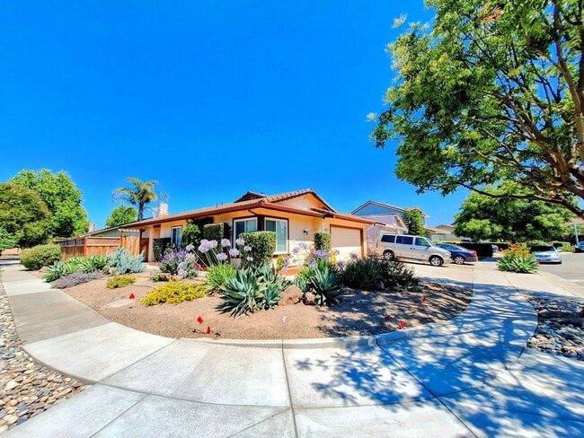 Building Photo - Beautifully Remodeled 3bd Single Story House: Everything Brand New!